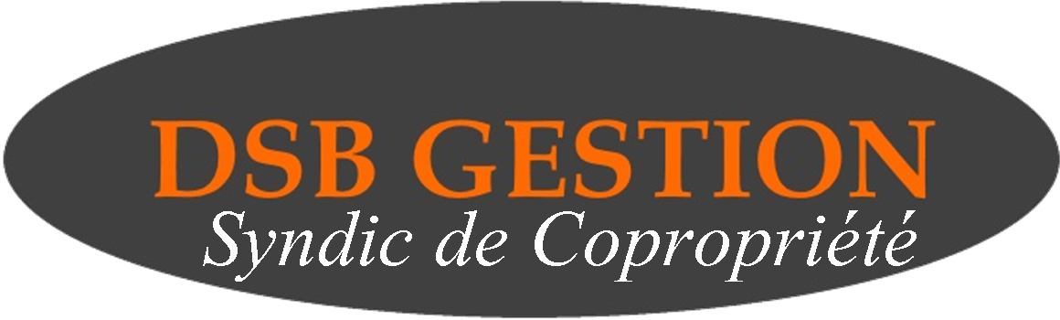 Logo DSB Gestion