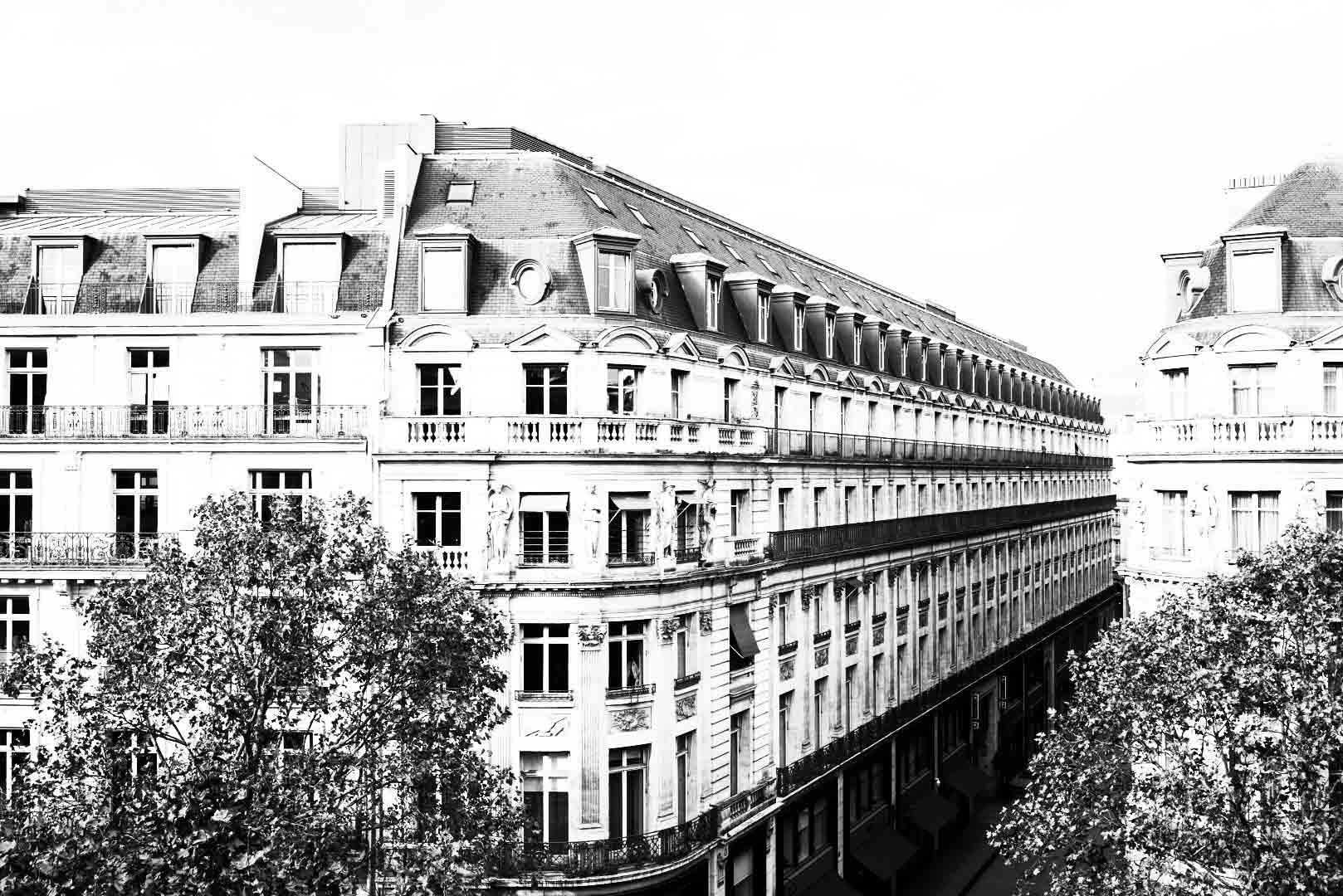 Logo Furgé Mulhauser MSG