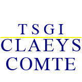 Logo T.S.G.I. – Transaction Syndic Gestion Immobilière